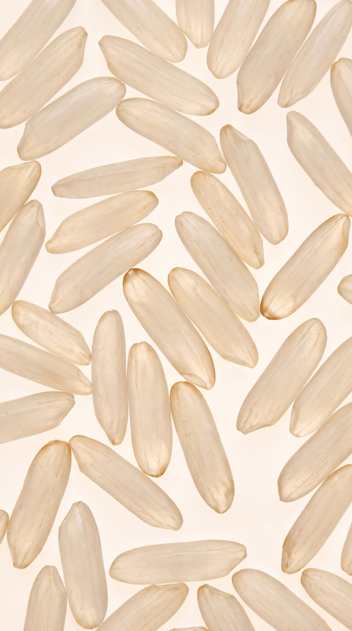 Rice Ferment ingredient