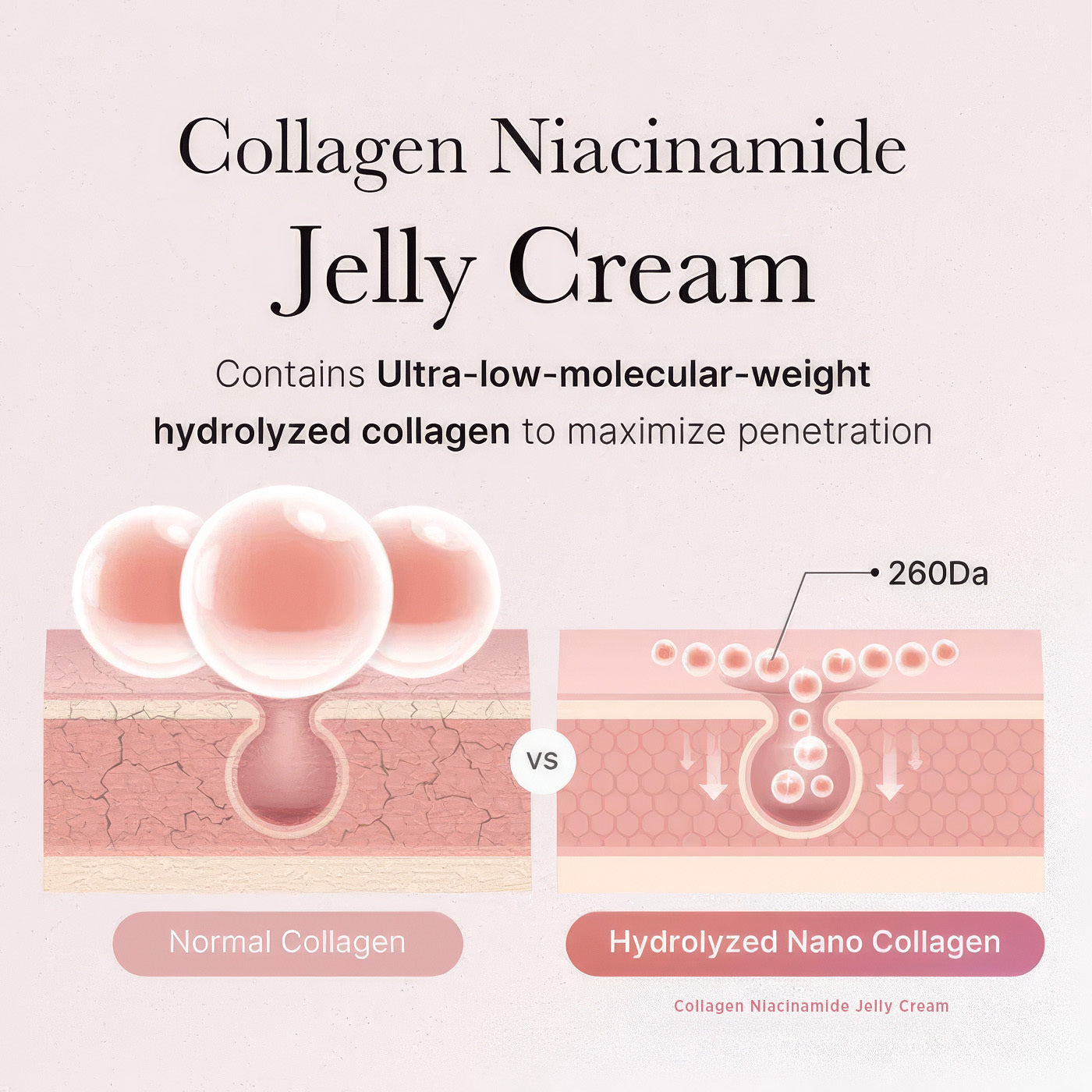 Collagen Niacinamide Jelly Cream