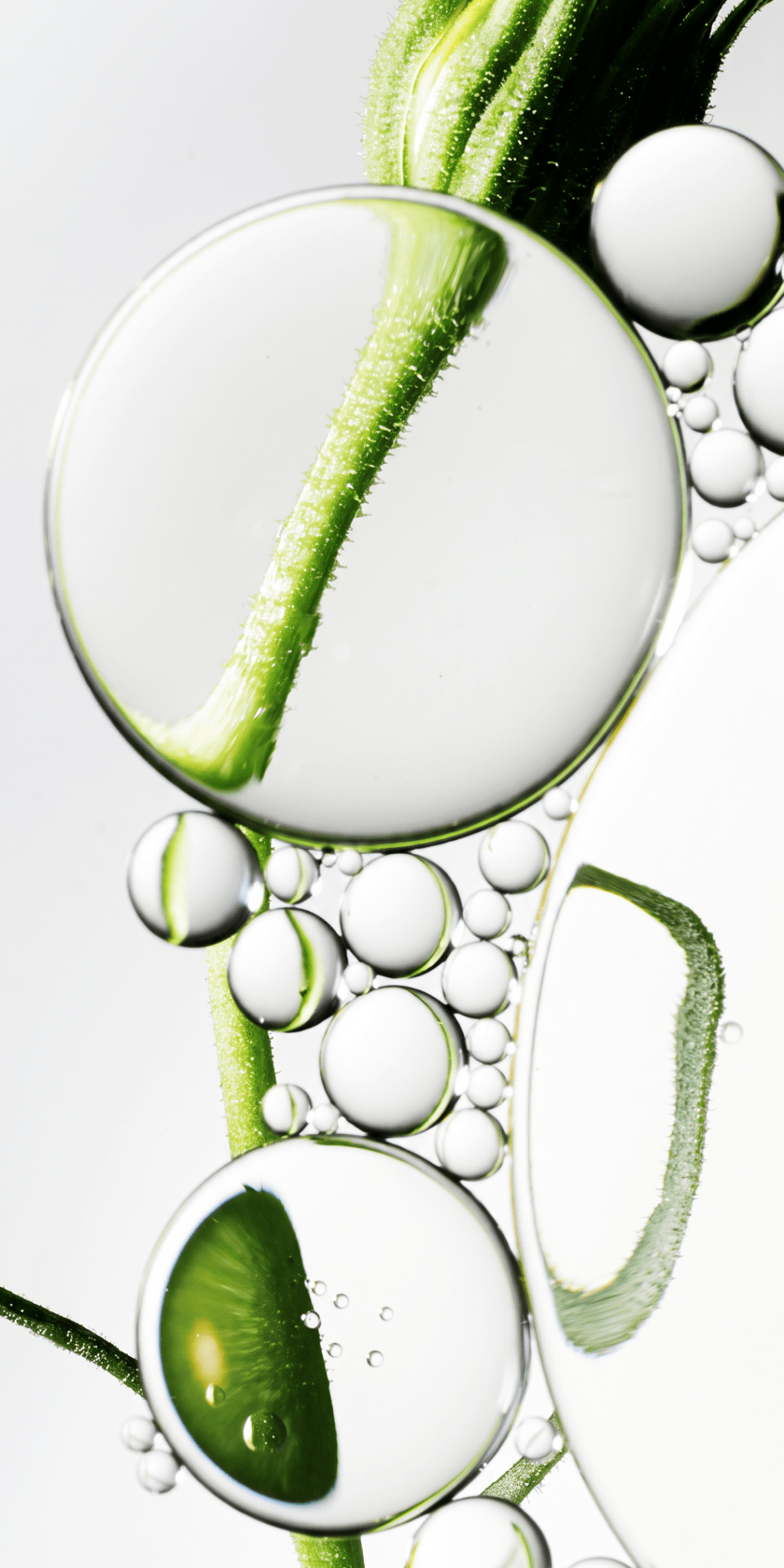 Centella Asiatica ingredient